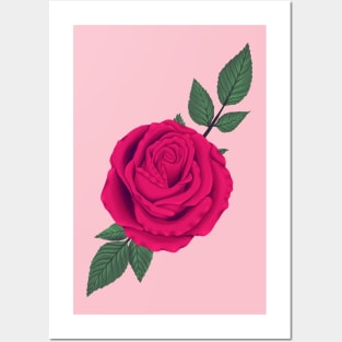 Pink Rose Posters and Art